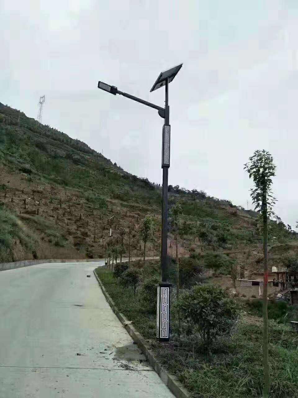 塘厦镇仿古太阳能路灯